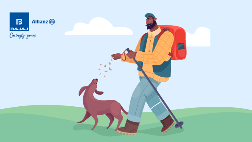 5 Tips on Travelling with Your Pet
