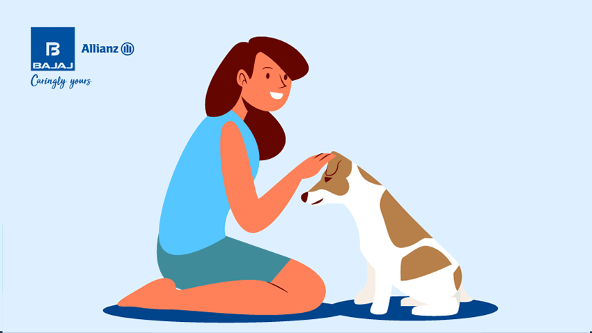Keeping it Cuddly, 06 Ways to Keep Pets Safe Amidst Festivities