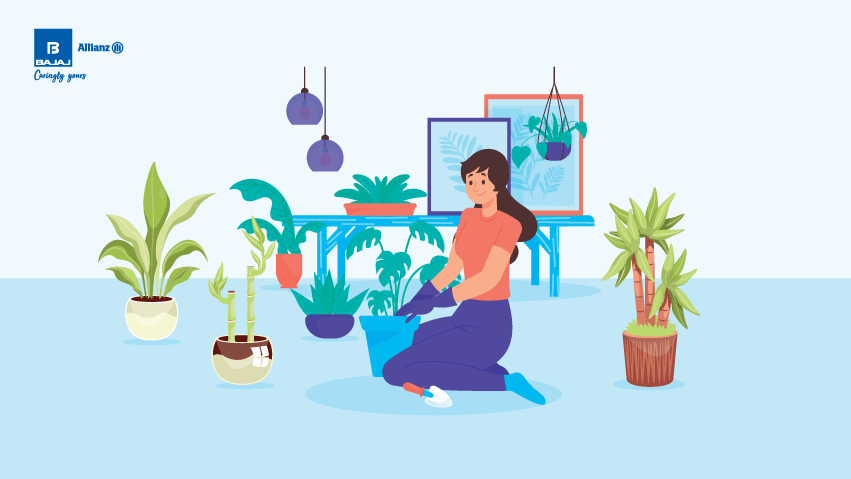 vastu tips for bamboo plants