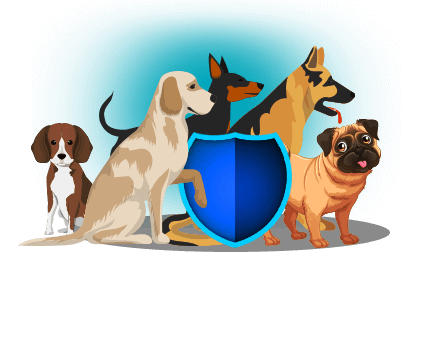 Pet Insurance Online | Insurance for Dogs In India - Bajaj Allianz