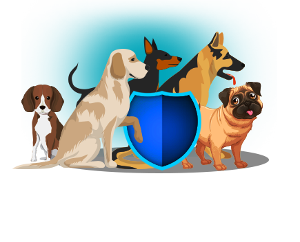 Pet Dog Insurance