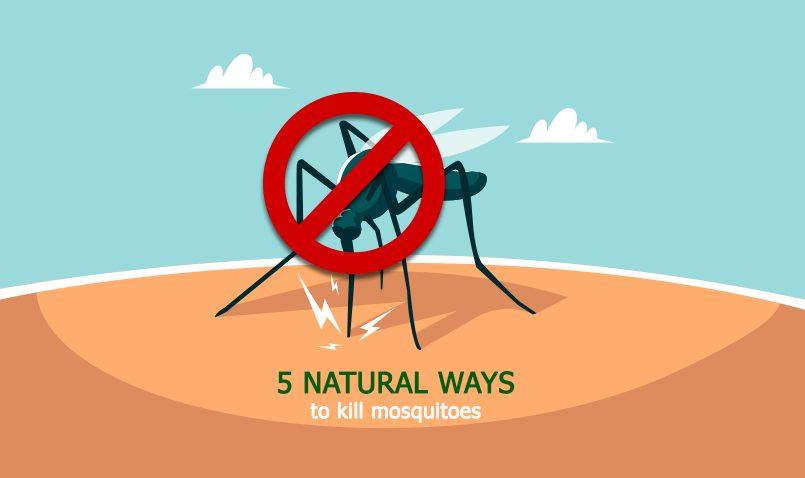 Natural Ways to Keep Mosquitoes Away