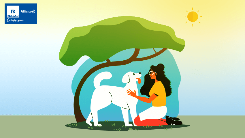 blog banner